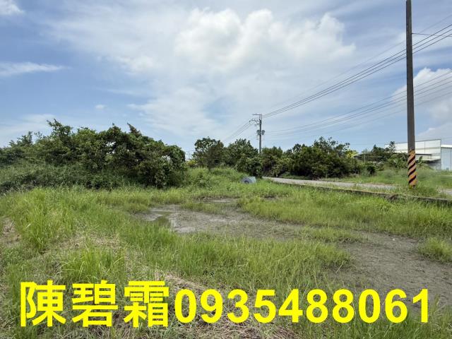 台南安南農地-10