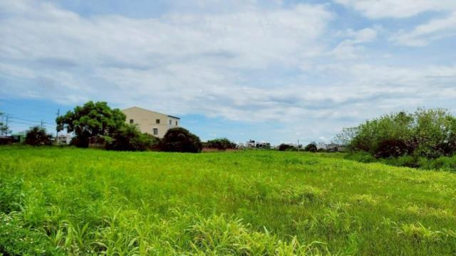 台南佳里農地-1