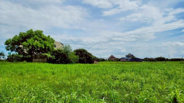 台南佳里農地-7