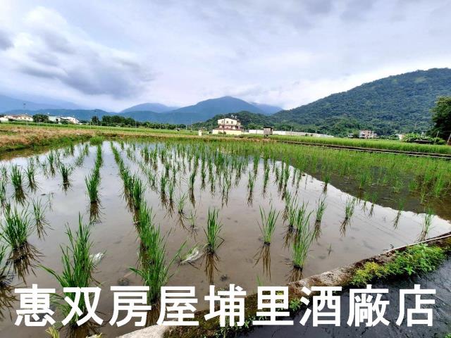 南投埔里農地-0