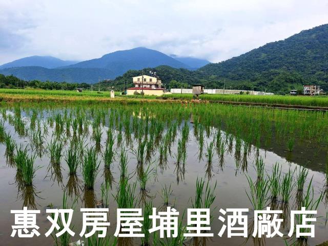 南投埔里農地-2