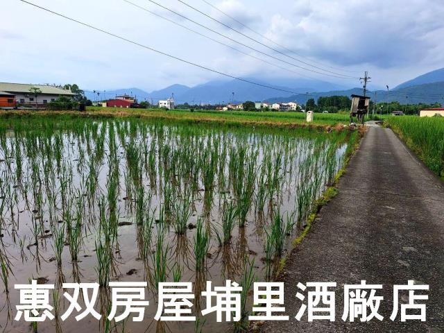 南投埔里農地-4