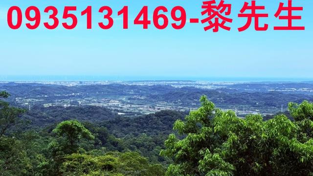 苗栗南庄林地-12