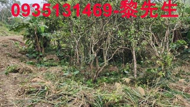 新竹竹東農地-3