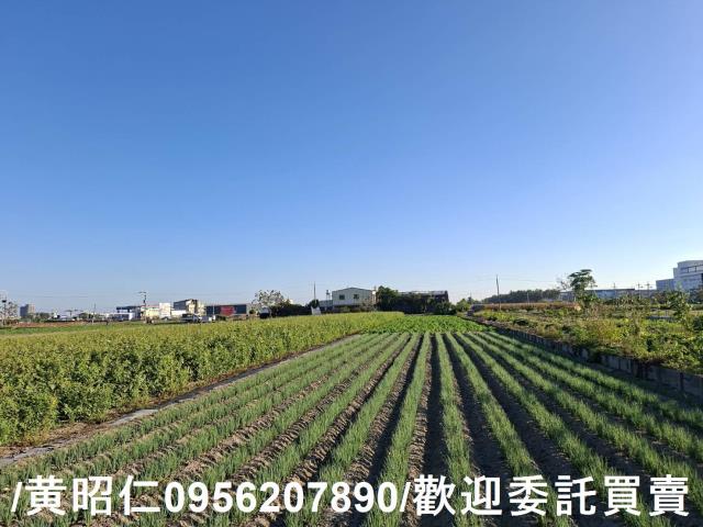 安定農地-3
