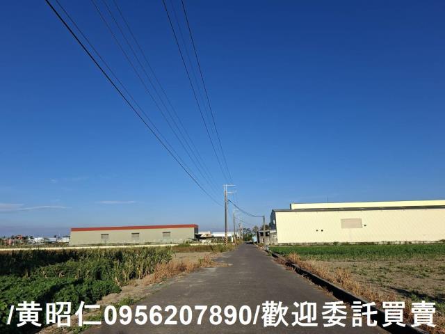 安定農地-5