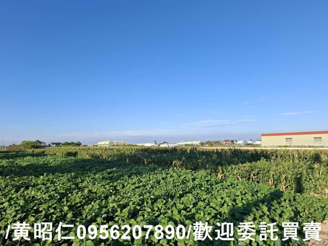 安定農地-6