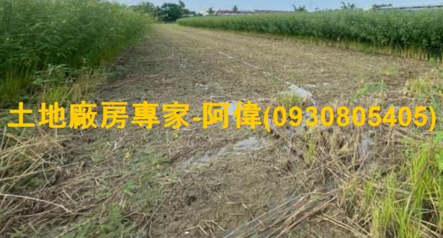 大寮農地-0