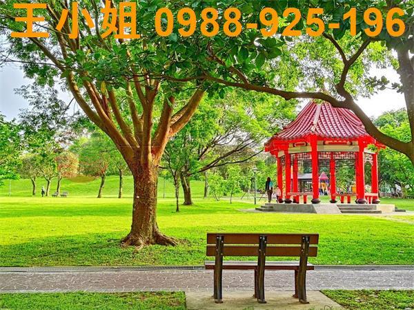 桃園建地-1