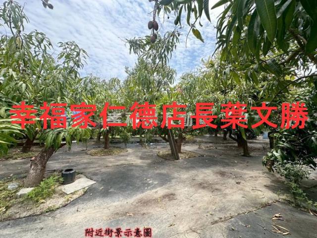 台南安定農地-2