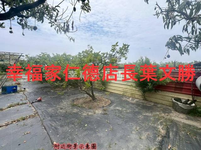 台南安定農地-3