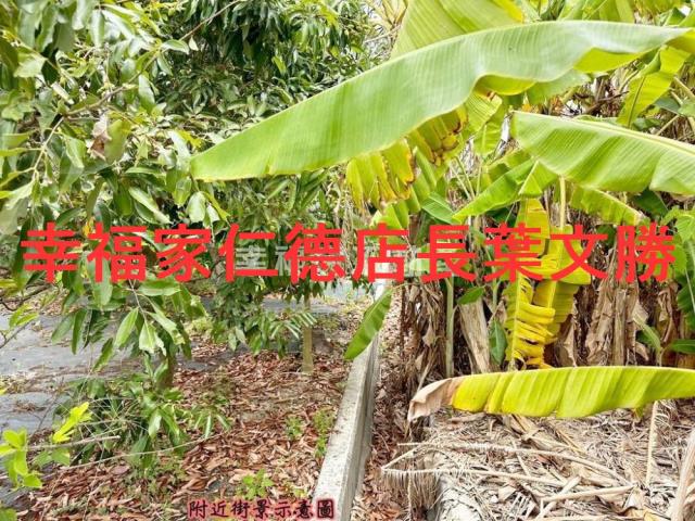 台南安定農地-5