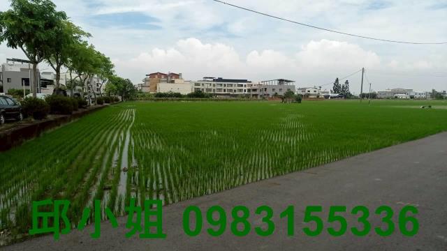 西區農地-0