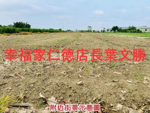 安定農地-7