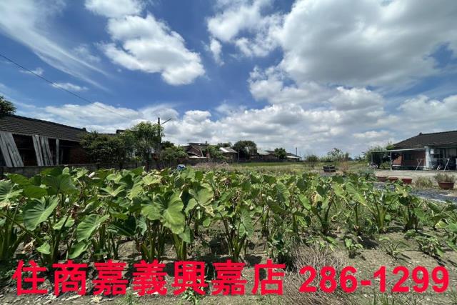 溪口建地-5