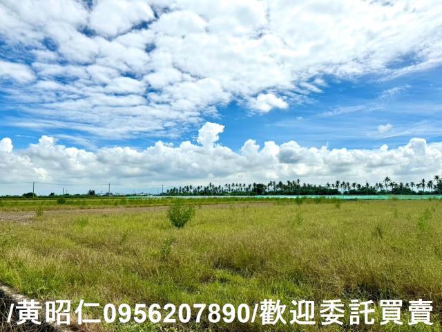 鹽水農地-3