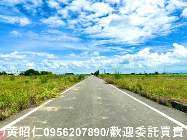 鹽水農地-4