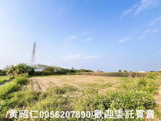 新營農地-3