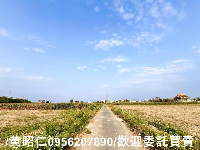 新營農地-4