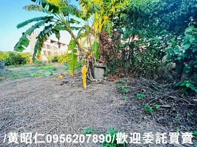新化建地-11