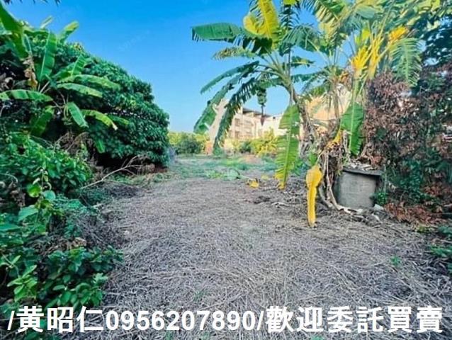 新化建地-2