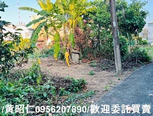 新化建地-4