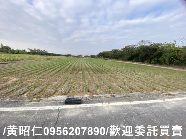新市農地-0