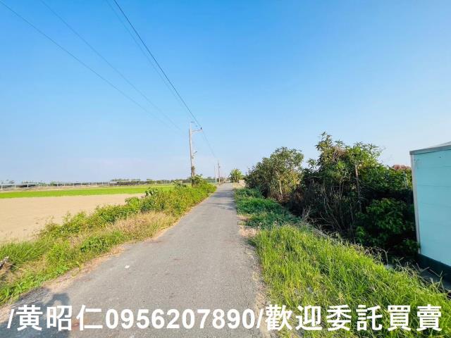 佳里農地-9