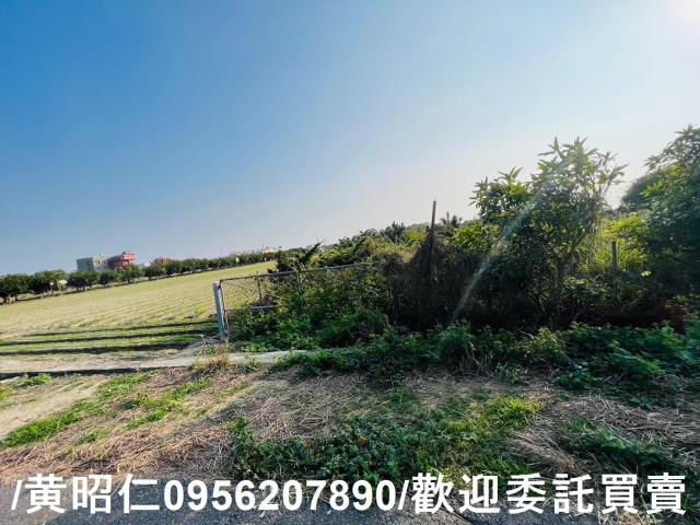 佳里農地-12