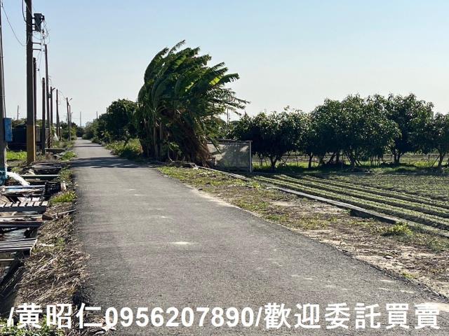 佳里農地-4