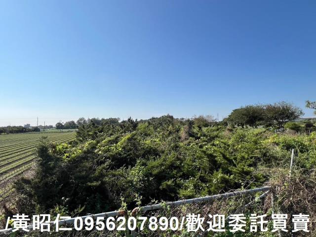 佳里農地-8
