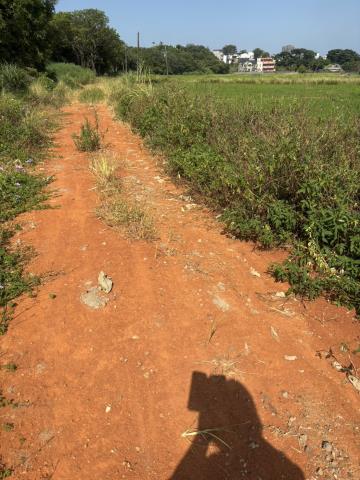 桃園楊梅農地-0