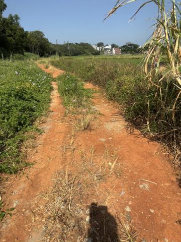 桃園楊梅農地-2