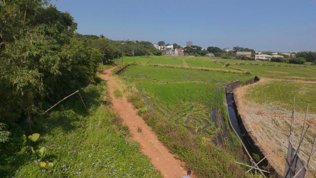 桃園楊梅農地-3