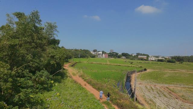 桃園楊梅農地-4