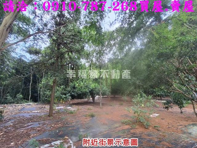 南投埔里農地-9