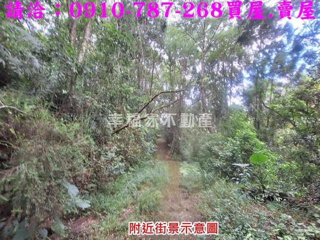 南投埔里農地-11