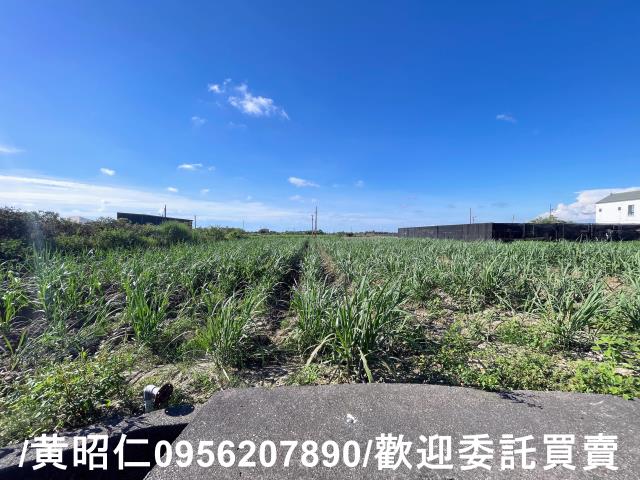 台南西港農地-12