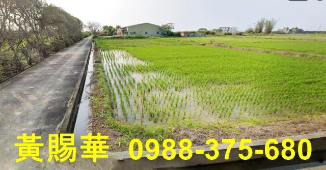 桃園新屋農地-4