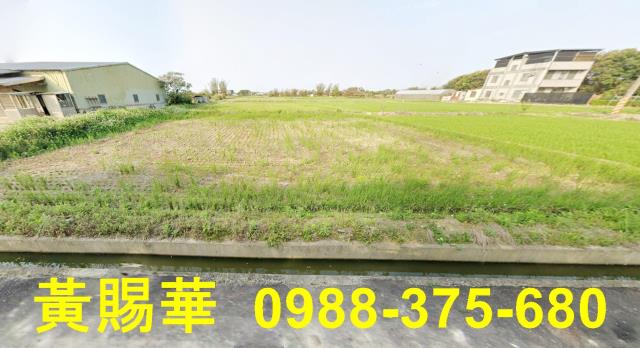 桃園新屋農地-5