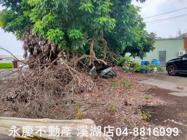 彰化埔鹽農地-2
