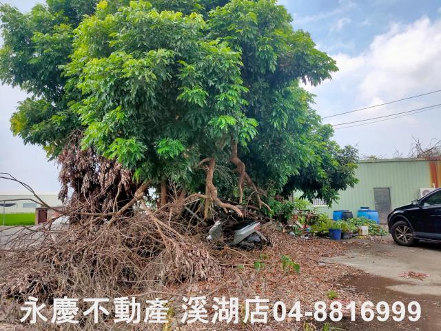 彰化埔鹽農地-8