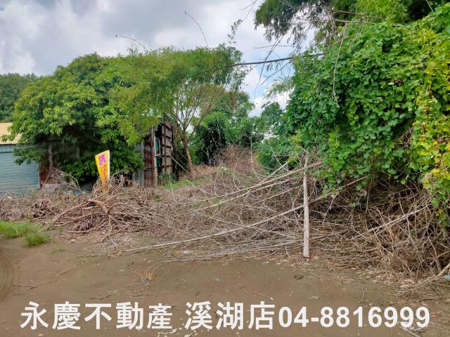 彰化埔鹽農地-9