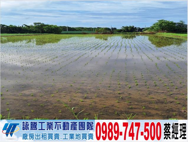 楊梅農地-0