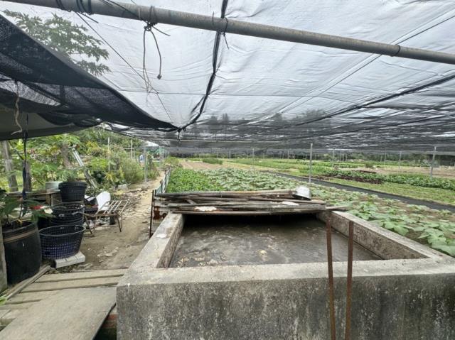 台南南區農地-8