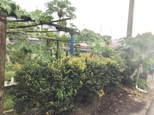 台南南區農地-11