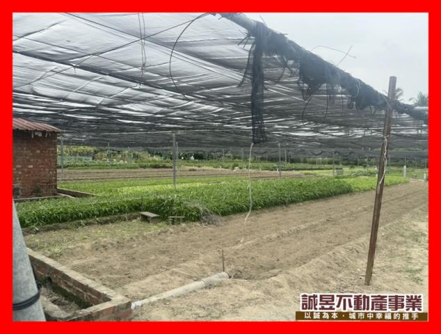 台南南區農地-0