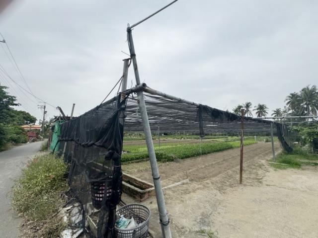 台南南區農地-1