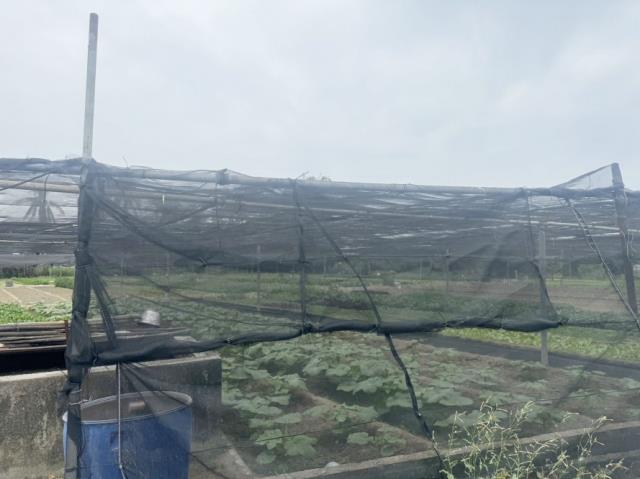 台南南區農地-4