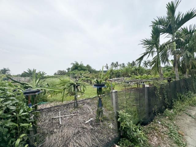 台南南區農地-5